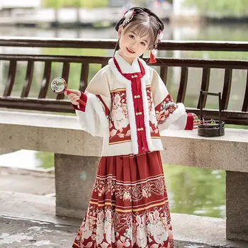 2 Culori Chineză Hanfu pentru Copii Fete de Iarnă se Ingroase Dinastiei Ming Față de Cal Fusta Îmbunătățit Anul Nou Chinezesc Fusta Costum