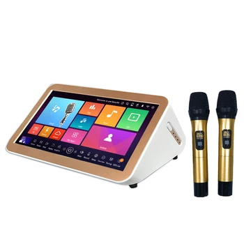 Sistem Karaoke player cu microfon wireless UHF mașină portabil power mixer amplificator de 40W melodii